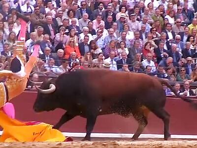 El Matador and the bull challenge