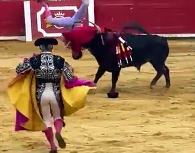 Spanish bull week