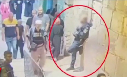 44-year-old Palestinian woman tried to stab an Israeli police officer