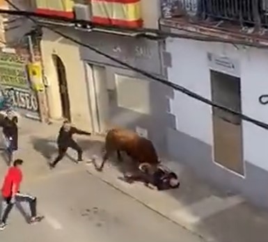 What a magnificent job bull, breaking a fat Spanish motherfucker