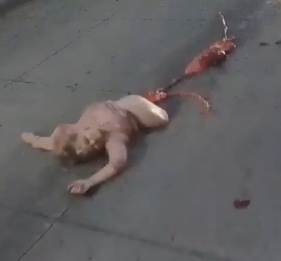 GEEZ: Woman Cut in Half on the Road.