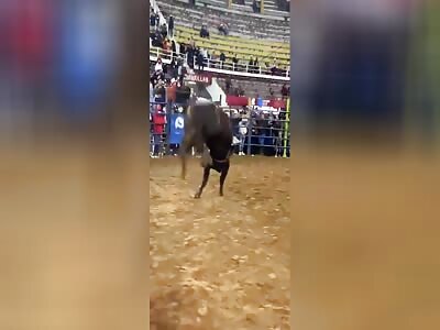 Bullfighter was thrown high