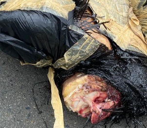 Dismembered Bodies Found in Bags in Cali Colombia 