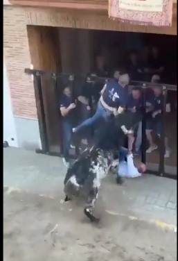 BRUTAL DEATH, DAMN: Old Man Literally Fucked by Spotted Bull.