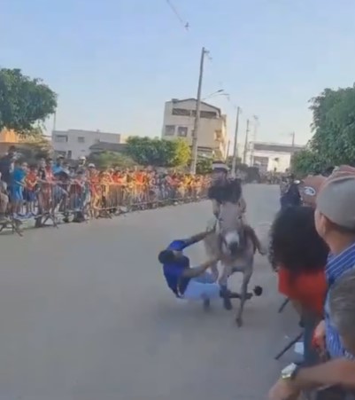 Brazilian broken by donkey runner