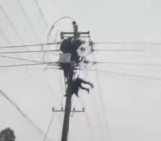 Workers Electrocuted to Death 
