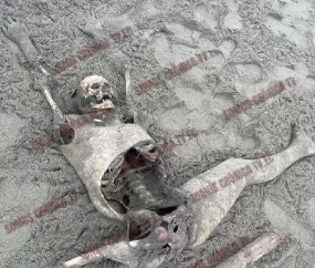On Cañaveral beach residents found a body in a skeletal remains state.
