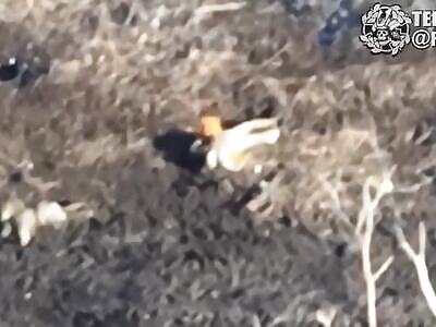 Ukrainian kamikaze drones eliminated a group of Russian invaders at St