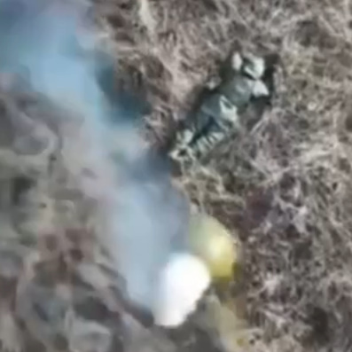Russian Soldier Gets Blown in Half by Drone Dropped Grenade.