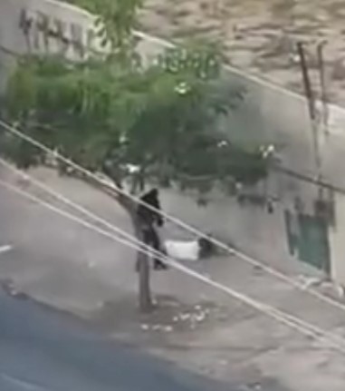 murder recorded by a resident from the top of a building in Recife, br