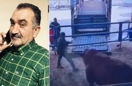 The Irony: Slaughterhouse Worker Killed By Bull