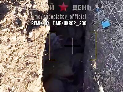 Russian drones killing ukrops 