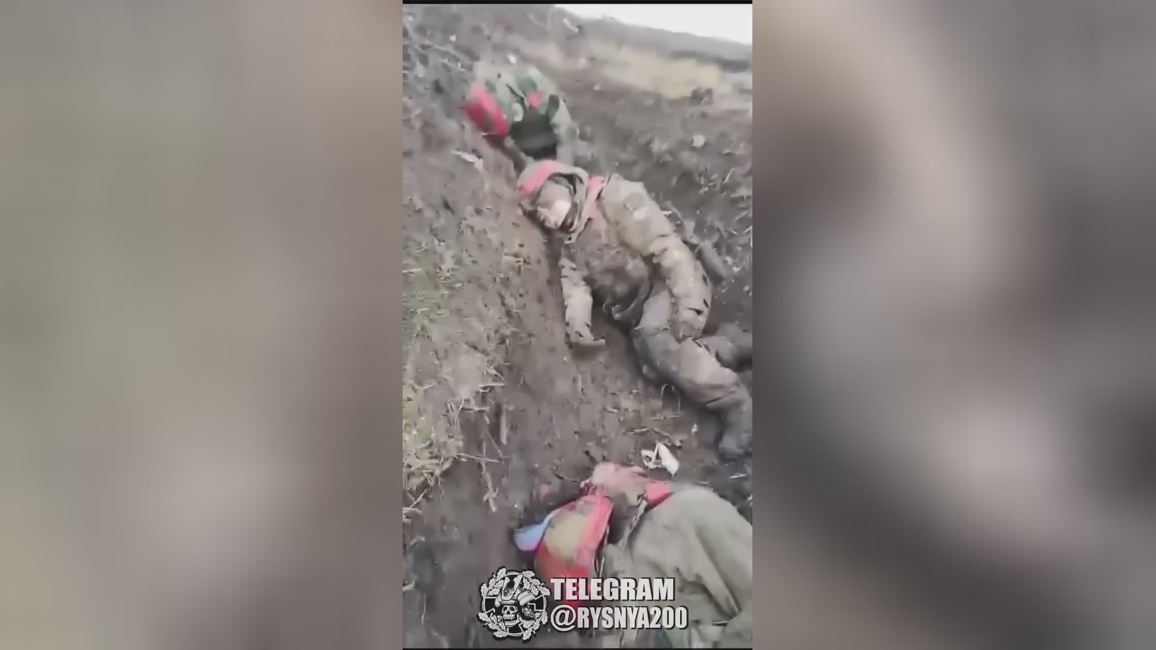 Dead Russian Asian horde | theYNC