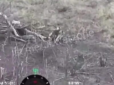 Ukrainian drone sent russian invader to hell