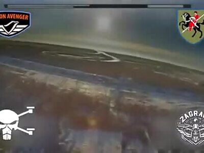 Ukrainian Kamikaze FPV Drone Blows Up Russian MLRS 