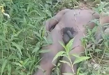 Headless corps dumped in abandoned place 