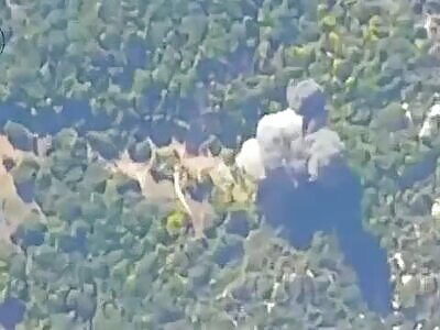 SAA intercepts drones, strikes militants in Idlib.