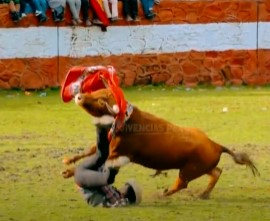 Peruvian knocked out by a fast bull