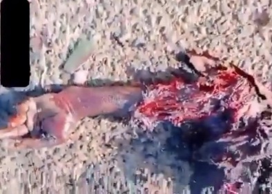 Janjaouid militia members roasted by soudanian army 