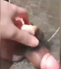 Woman Holds Man's Severed Penis because he Cheated