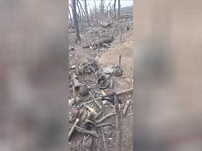 DAMN: Shocking losses of the Russian army