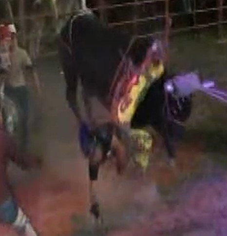 damn bullfighter with a centaur helmet was destroyed by a bull