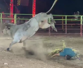 Mexican idiot had his face flattened on the ground thrown from a bull