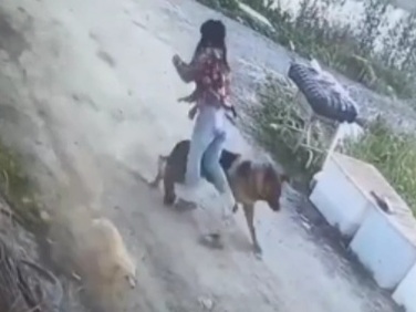  Girl Knocked away by a dog