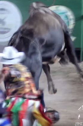 bullfighter brutally trampled on the head