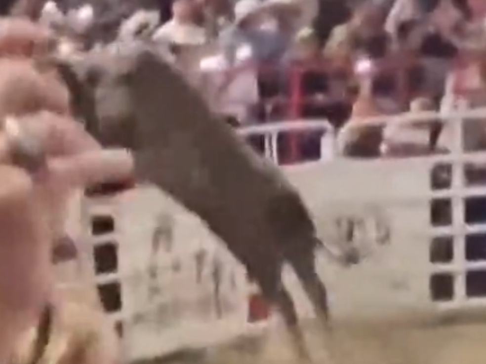 Bull Jumps over Fence and Charges at Spectators (3 Injured)