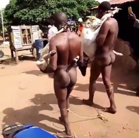 Two goat thieves stripped naked and humiliated 