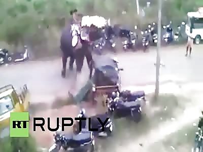  Elephant goes on Rampage during Festival at Temple
