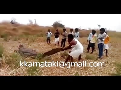 Laughing Men Batter Crocodile With Stones!
