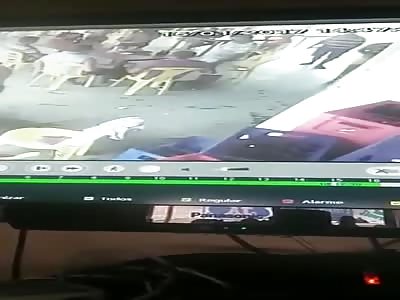 65 Year Old Man Brutally Stabbed to Death Inside a Bar
