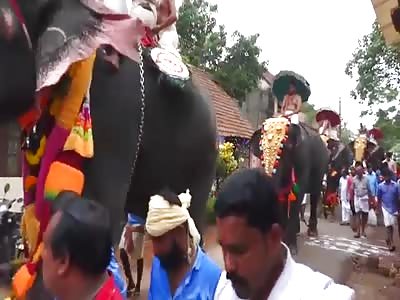 Elephant Kicking Man During Procession