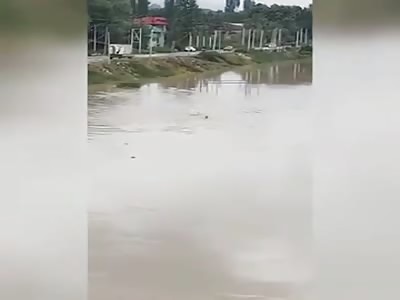Guy Drowns in a River While Trying to Rescue a Dog. (Long Video Alert)