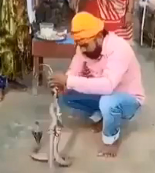 Man Tries to Tie Rakhi on Snakes Dies From Snake Bite