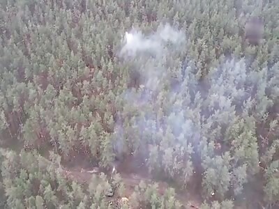 Russian Terminator obliterates AFU and nato mercs hiding in a forest