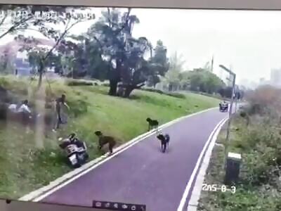 Mother and Daughter Preyed upon by a Pack of Dogs.