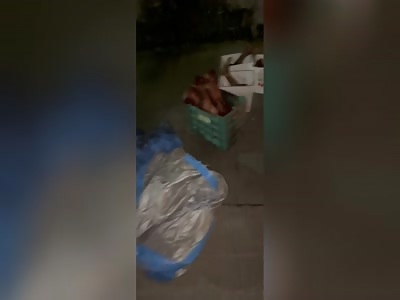 The CJNG leaves dismembered bodies in iceboxes