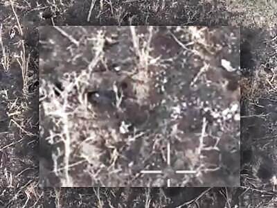 Ukraine vs Russia. Close combat compilation.