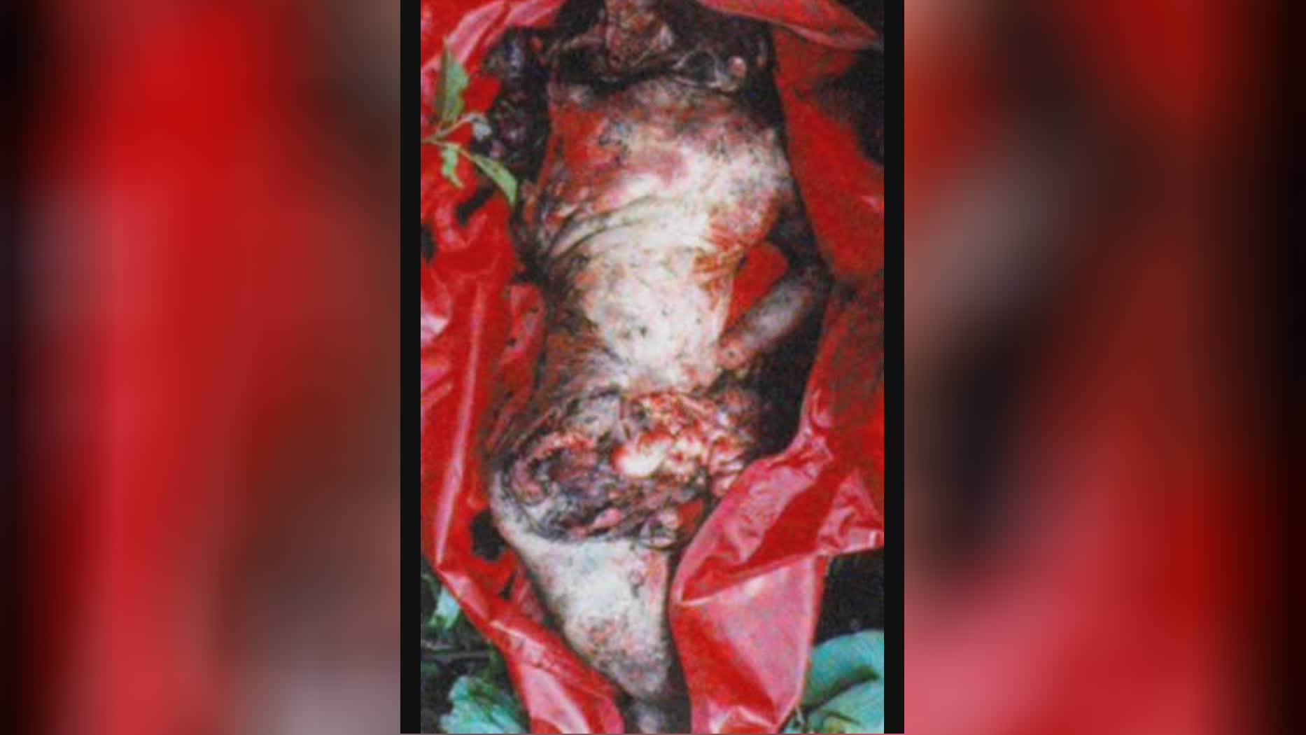 REUPLOAD FROM 2008) MAMONAS ASSASSINAS BRAZILIAN BAND FATAL PLANE CRASH  IN 1996 | theYNC
