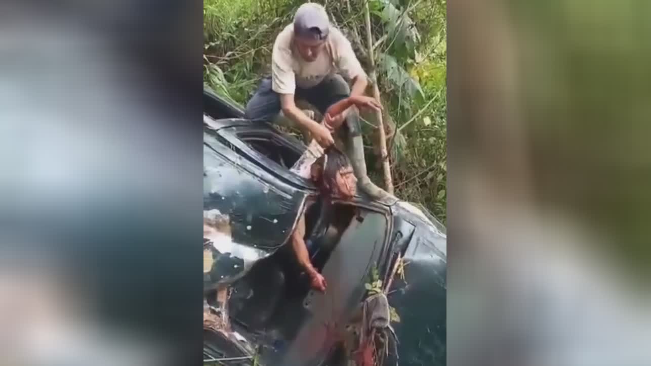 Dude Where