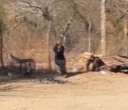 Hitmen murder rival with a 50-caliber rifle in Sinaloa, Mexico