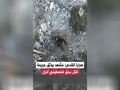 Israeli drones crush a Palestinian citizen
