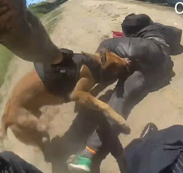 Suspect with BB Guns Flees Sacramento Cops Then Gets Taken Down by K9 and Shot