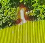 Dude Set Himself On Fire