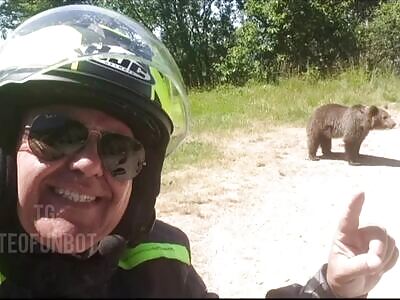 Man Dies after Being Attacked by a Bear