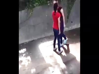 3 different chick fights