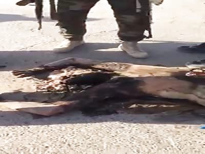 dead body of isis 